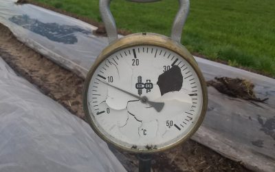 De lente komt!!